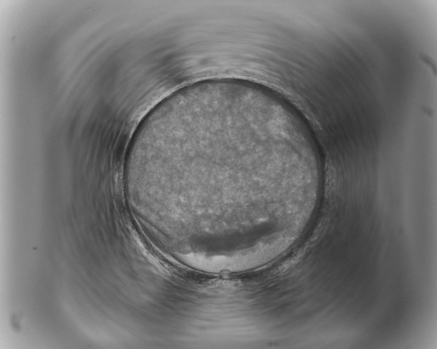 X0000101161513200807251059