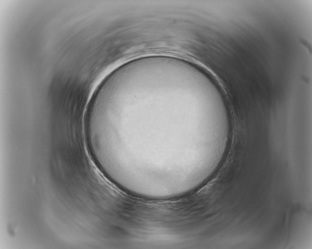 X0000101161514200807251059