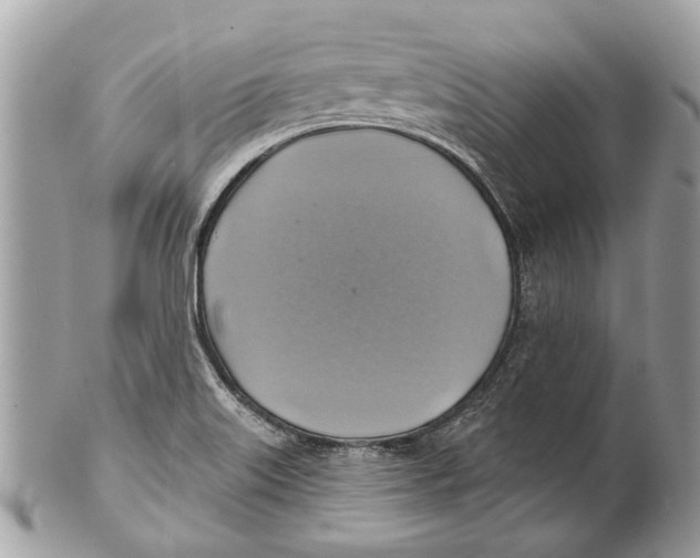 X0000101161515200807251059