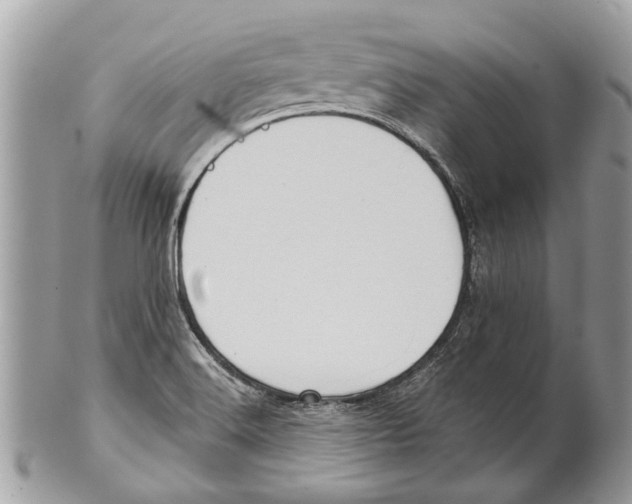 X0000101161516200807251059
