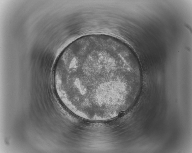 X0000101161517200807251059