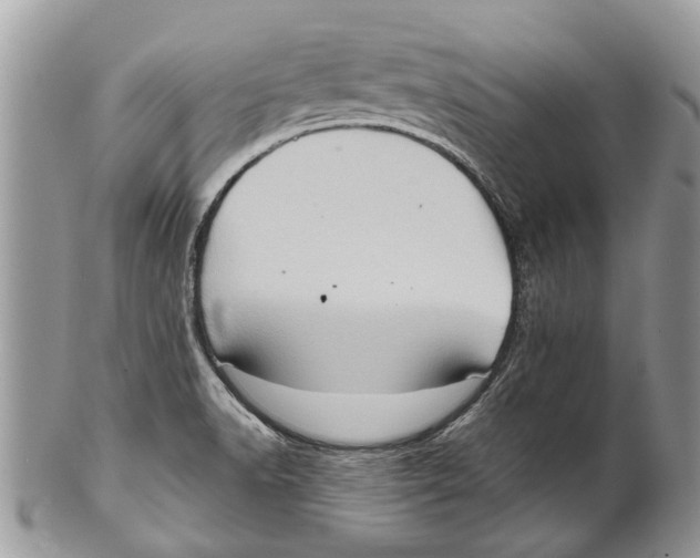 X0000101161518200807251059