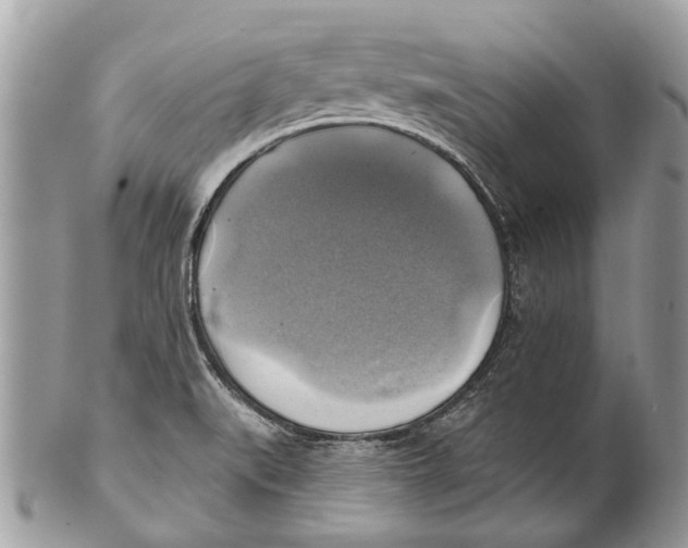 X0000101161519200807251059