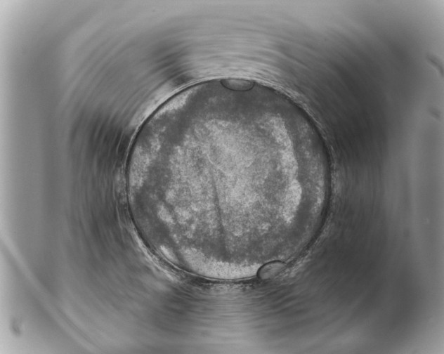 X0000101161521200807251059