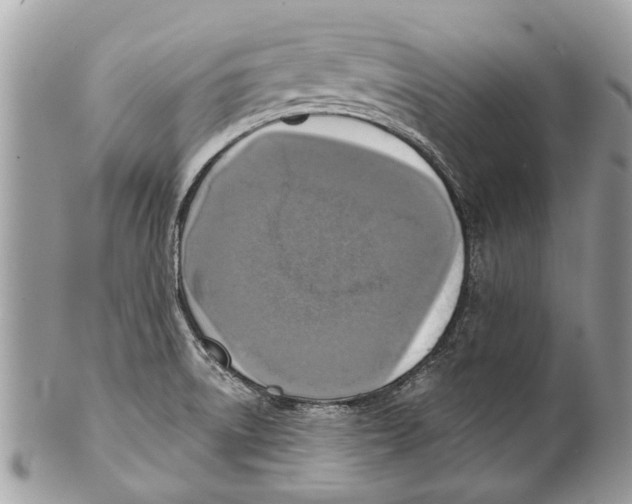 X0000101161522200807251059