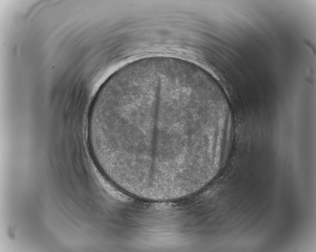 X0000101161523200807251059