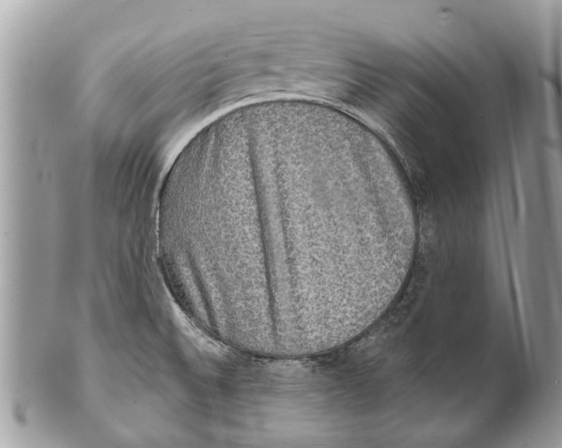 X0000101161524200807251059