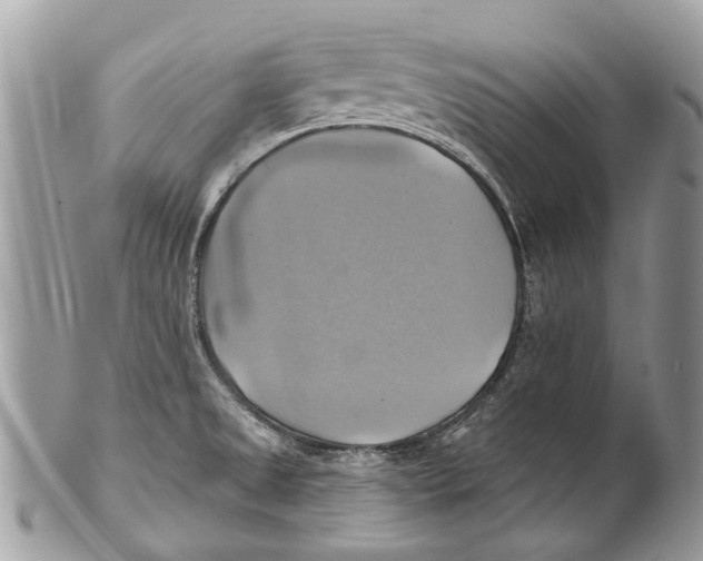 X0000101161525200807251059