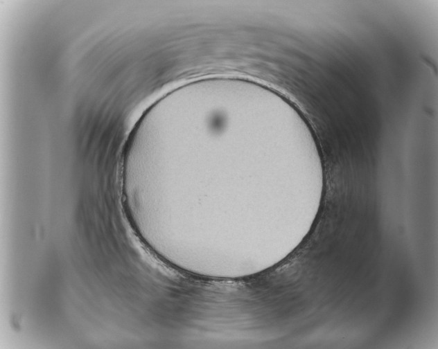X0000101161526200807251059
