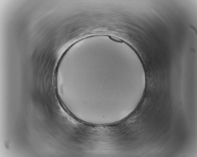 X0000101161527200807251059
