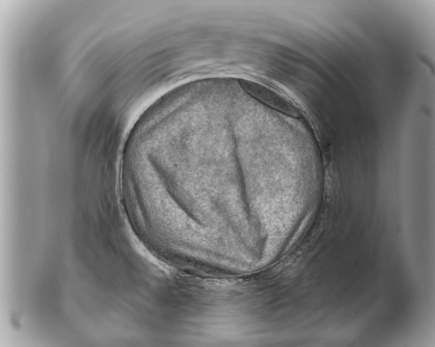 X0000101161528200807251059