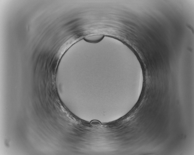 X0000101161529200807251059