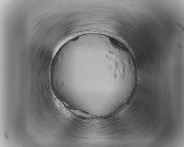 X0000101161530200807251059