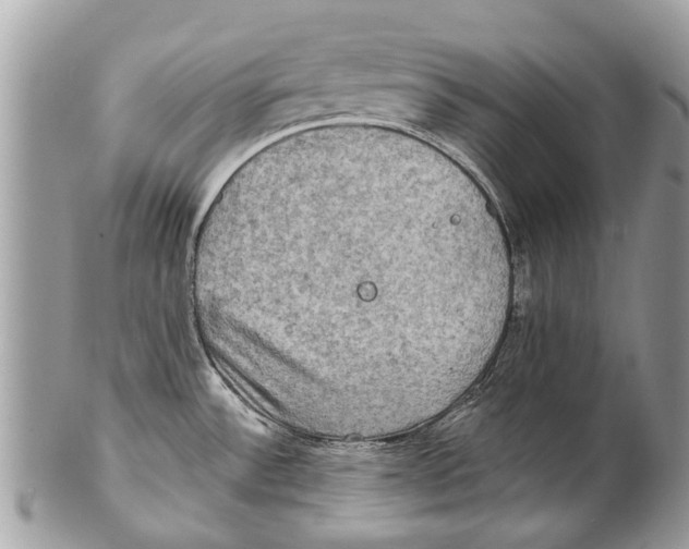 X0000101161532200807251059
