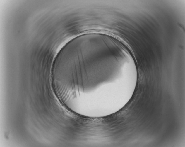X0000101161533200807251059