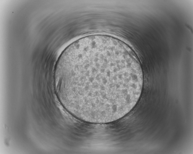 X0000101161534200807251059