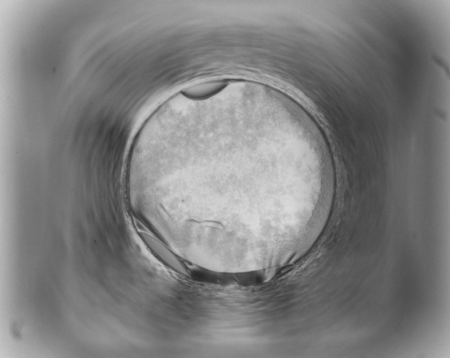 X0000101161536200807251059