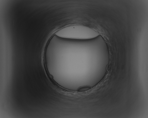 X0000101170003200806270803