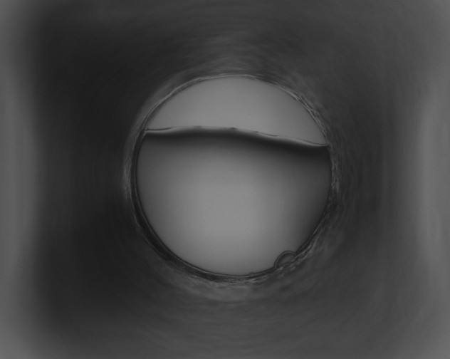 X0000101170004200806270803