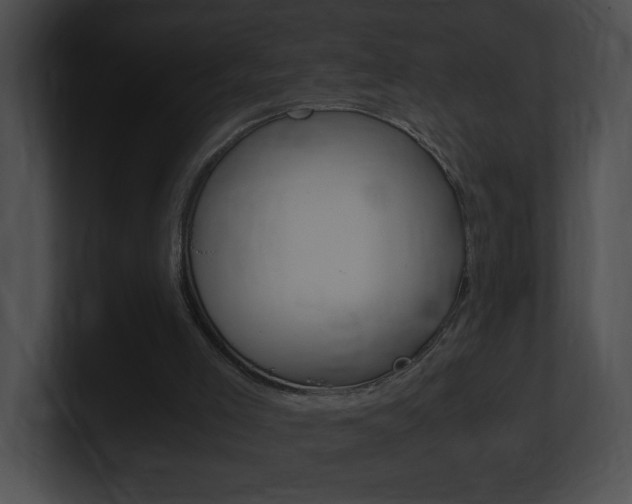 X0000101170005200806270803