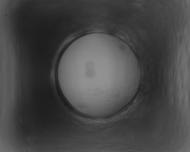 X0000101170006200806270803
