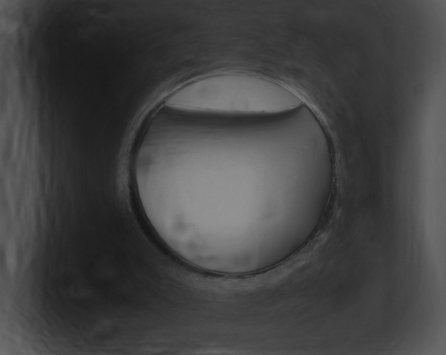 X0000101170007200806270803