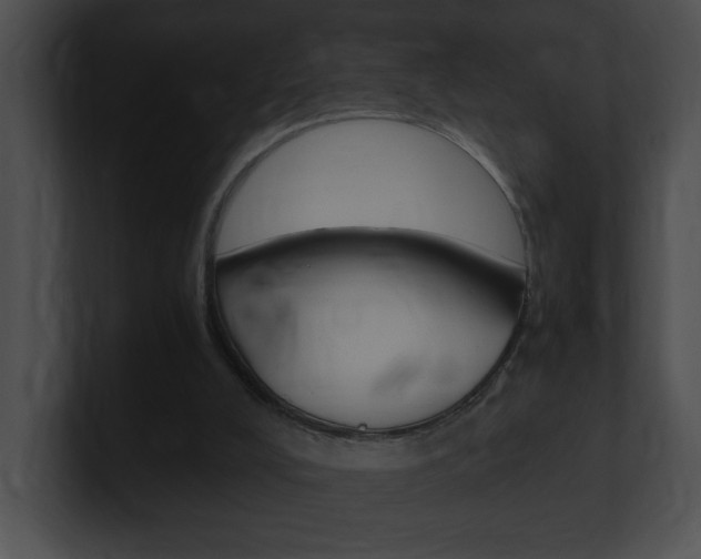 X0000101170008200806270803