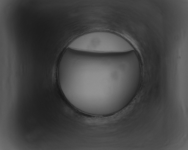 X0000101170009200806270803
