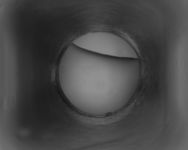 X0000101170010200806270803
