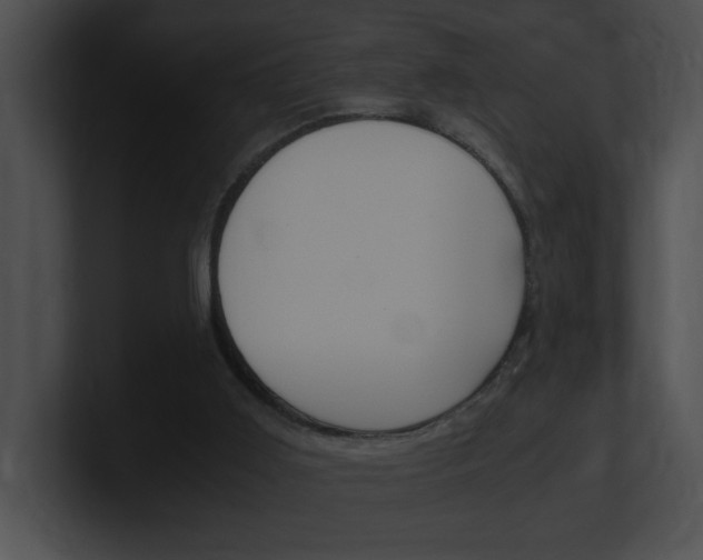 X0000101170011200806270803