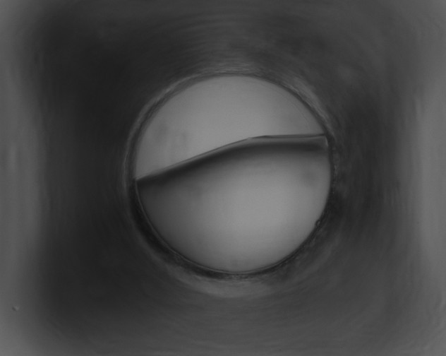 X0000101170012200806270803