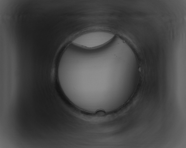 X0000101170016200806270803