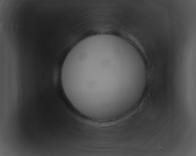 X0000101170018200806270803