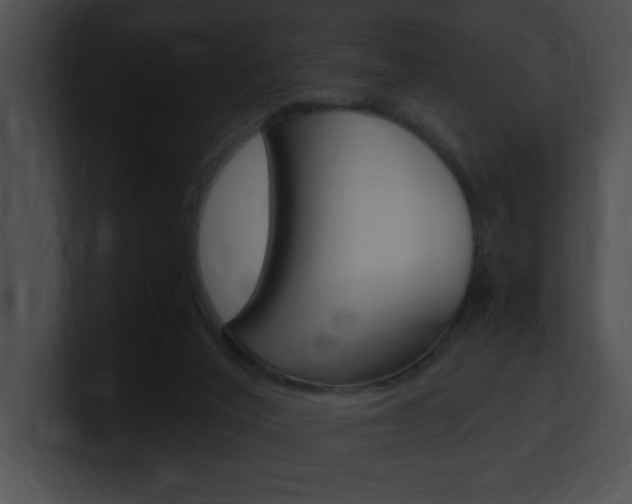 X0000101170020200806270803
