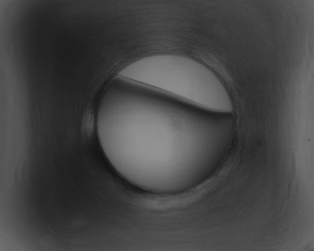 X0000101170021200806270803