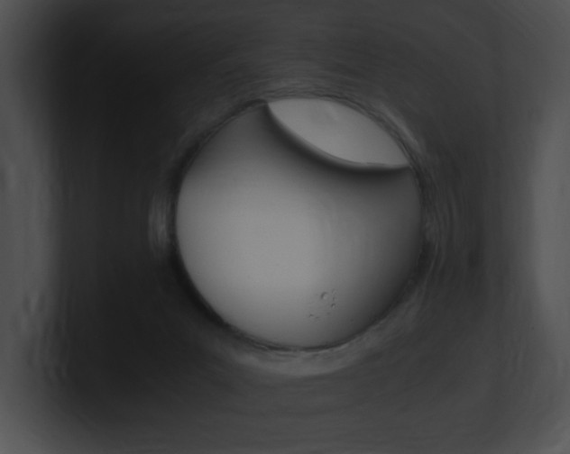 X0000101170023200806270803
