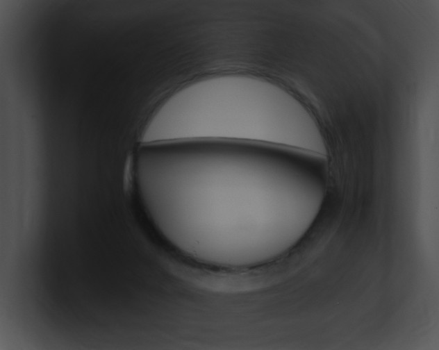 X0000101170024200806270803