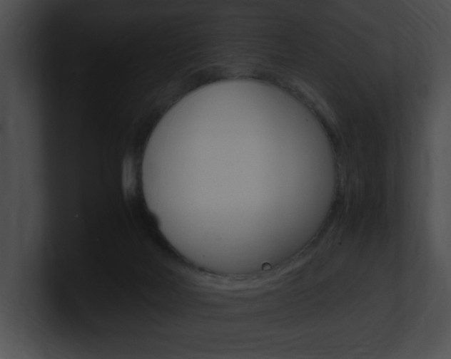 X0000101170026200806270803