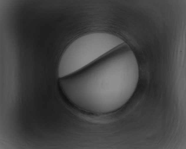 X0000101170028200806270803
