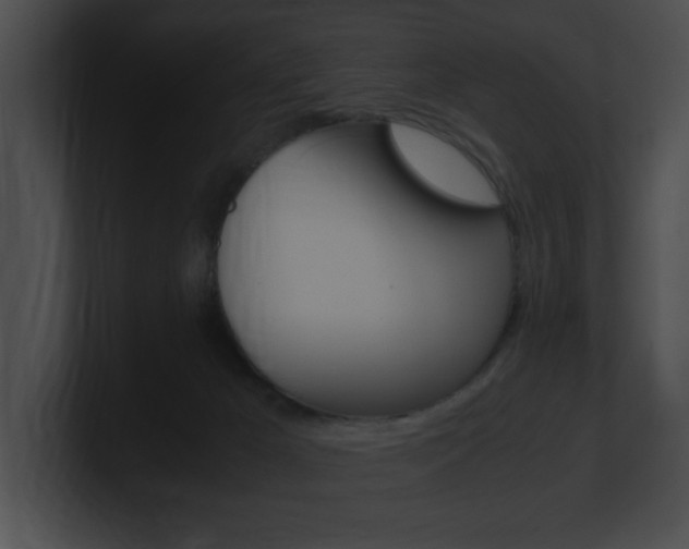 X0000101170029200806270803