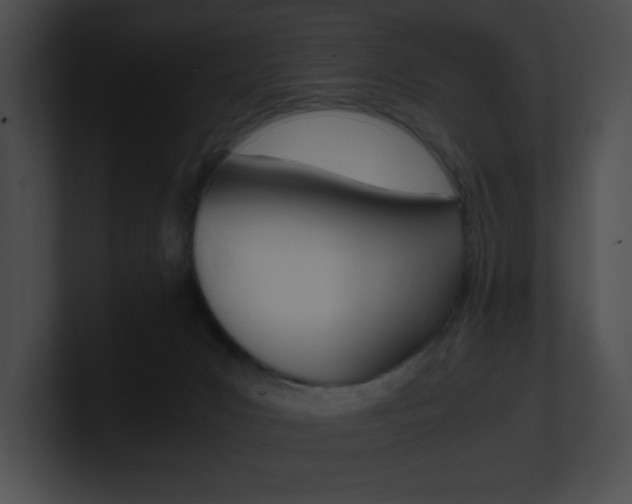 X0000101170031200806270803