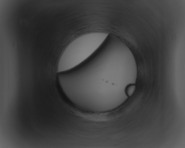 X0000101170032200806270803