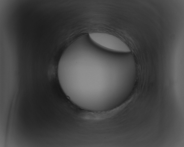 X0000101170033200806270803