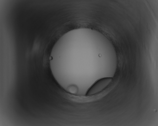 X0000101170034200806270803
