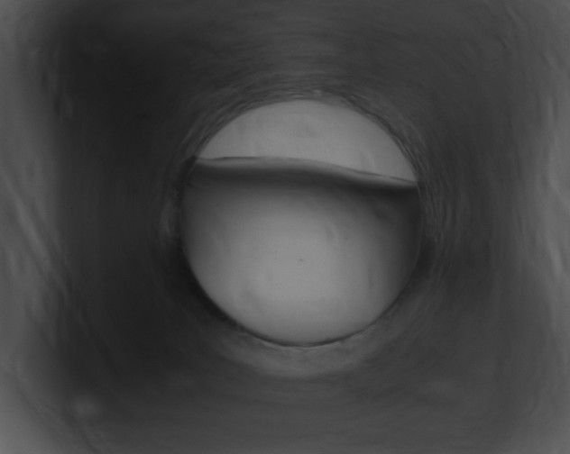 X0000101170035200806270802