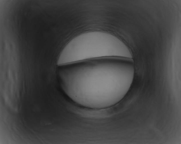X0000101170036200806270802