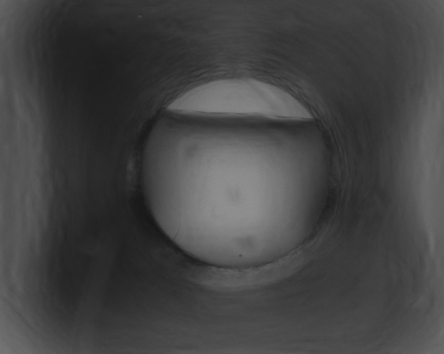 X0000101170037200806270802