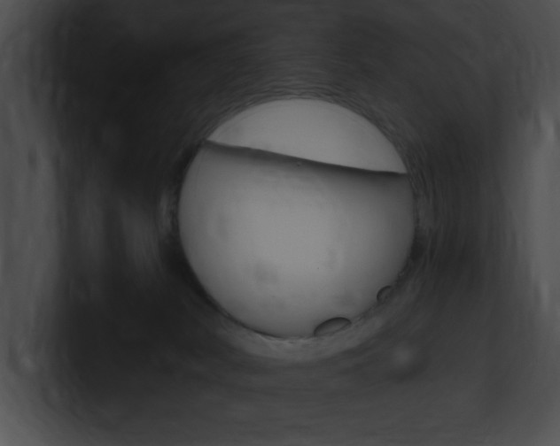 X0000101170038200806270802