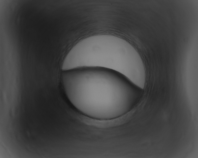 X0000101170039200806270802