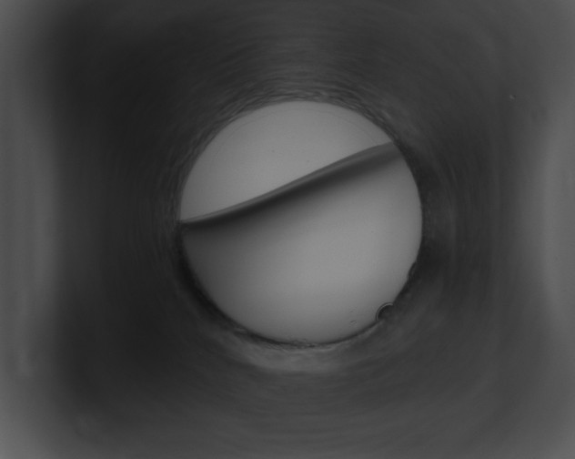 X0000101170040200806270802